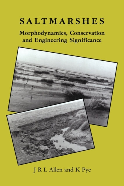 Saltmarshes Morphodynamics Conservation and Engineering Significance