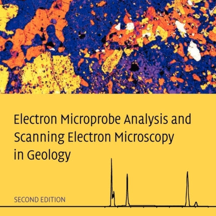 Electron Microprobe Analysis and Scanning Electron Microscopy in Geology