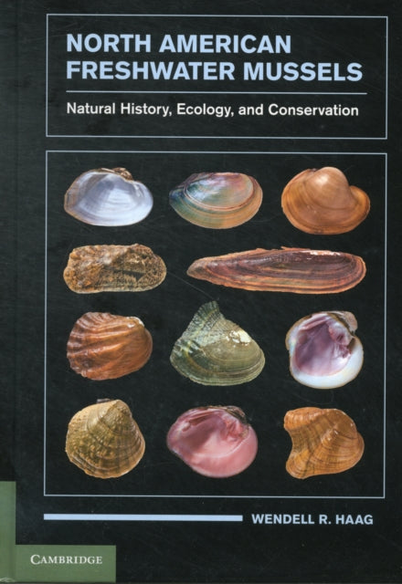 North American Freshwater Mussels