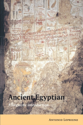Ancient Egyptian A Linguistic Introduction