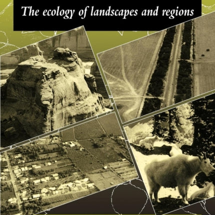 Land Mosaics The Ecology of Landscapes and Regions