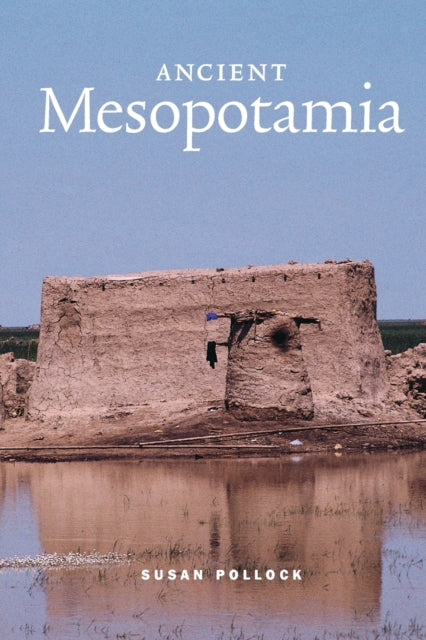 Ancient Mesopotamia 1 Case Studies in Early Societies