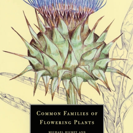 Common Families of Flowering Plants