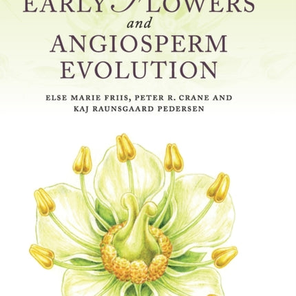 Early Flowers and Angiosperm Evolution