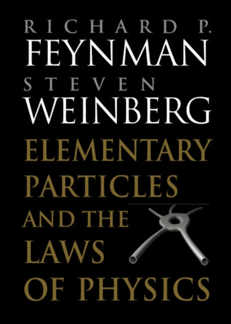 Elementary Particles and the Laws of Physics The