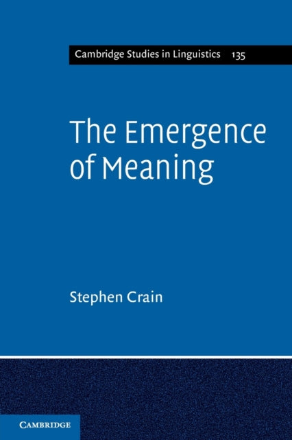 Emergence of Meaning