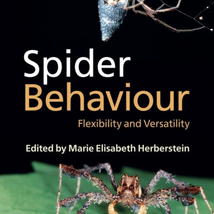 Spider Behaviour