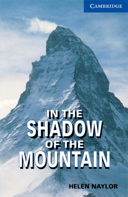 In the Shadow of the Mountain Level 5