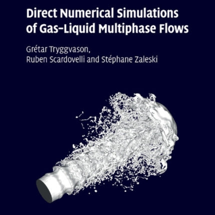 Direct Numerical Simulations of GasLiquid Multiphase Flows