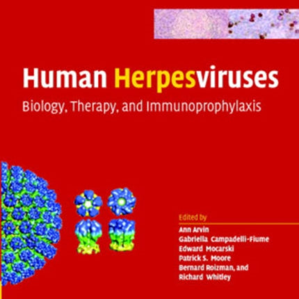 Human Herpesviruses: Biology, Therapy, and Immunoprophylaxis