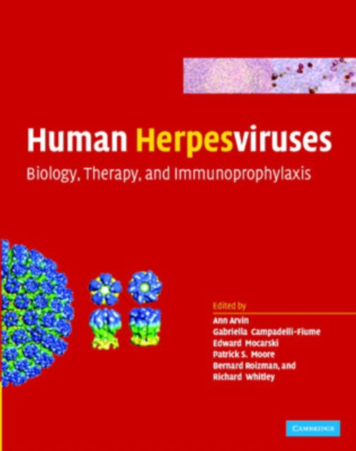 Human Herpesviruses: Biology, Therapy, and Immunoprophylaxis