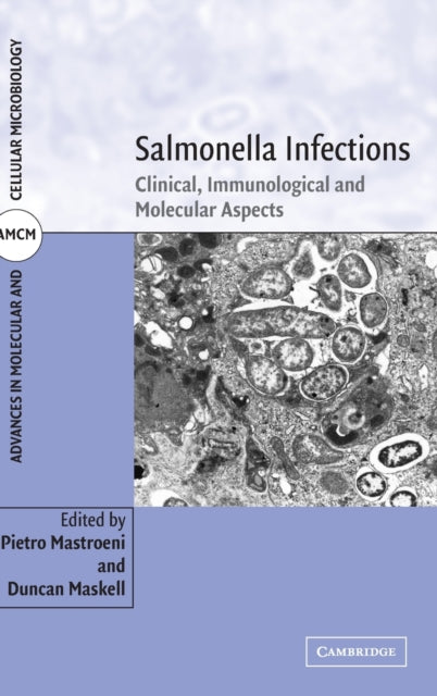 Salmonella Infections: Clinical, Immunological and Molecular Aspects