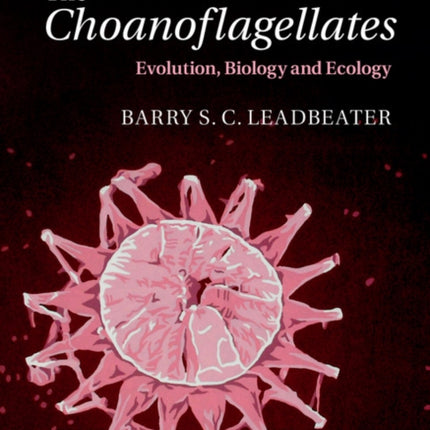 The Choanoflagellates