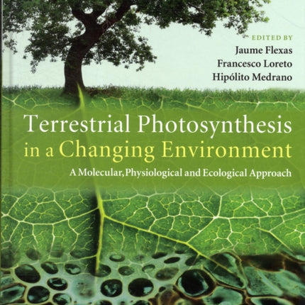 Terrestrial Photosynthesis in a Changing Environment