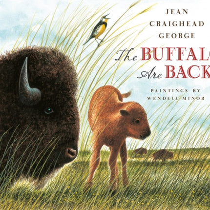 The Buffalo Are Back