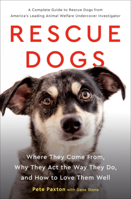 Rescue Dogs: Where They Come from, Why They Act the Way They Do, and How to Love Them Well