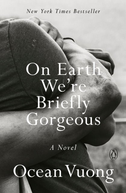 On Earth We're Briefly Gorgeous: A Novel