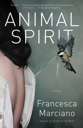 Animal Spirit: Stories