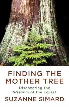 Finding the Mother Tree: Discovering the Wisdom of the Forest