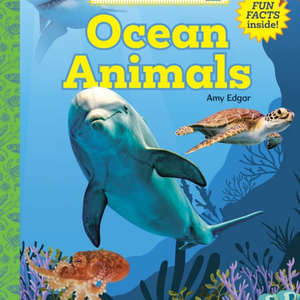 Ocean Animals (Be an Expert!)