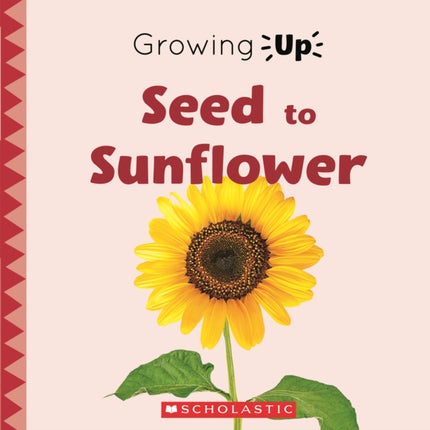 Seed to Sunflower Growing Up Library Edition Explore the Life Cycle