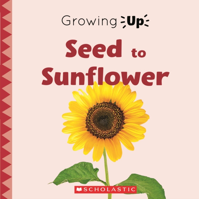 Seed to Sunflower Growing Up Library Edition Explore the Life Cycle