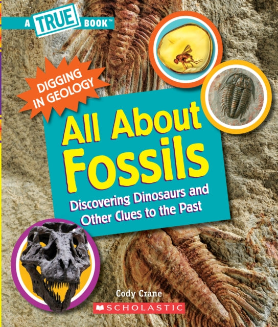 All about Fossils a True Book Digging in Geology