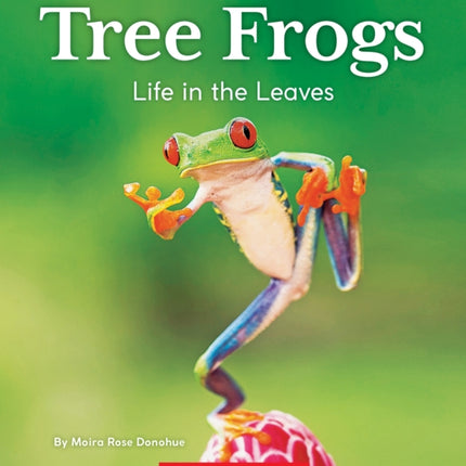 Tree Frogs Life in the Leaves Natures Children