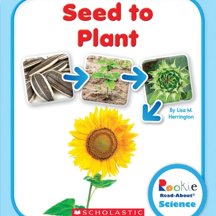 Seed to Plant Rookie ReadAbout Science Paperback