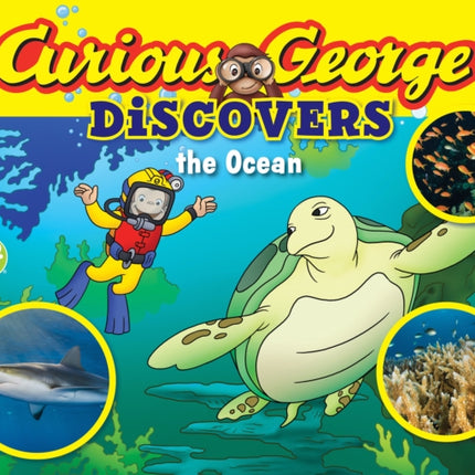 Curious George Discovers The Ocean