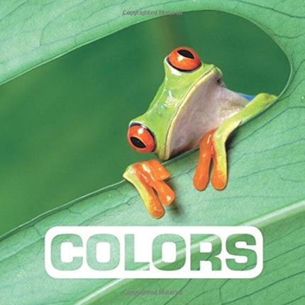 Colors Picture This