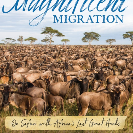 Magnificent Migration: On Safari with Africa's Last Great Herds