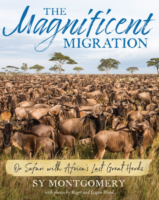 Magnificent Migration: On Safari with Africa's Last Great Herds