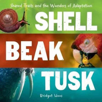 Shell, Beak, Tusk: Shared Traits and the Wonders of Adaptation