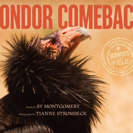 Condor Comeback