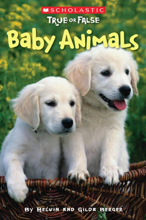 Scholastic True or False: #1 Baby Animals