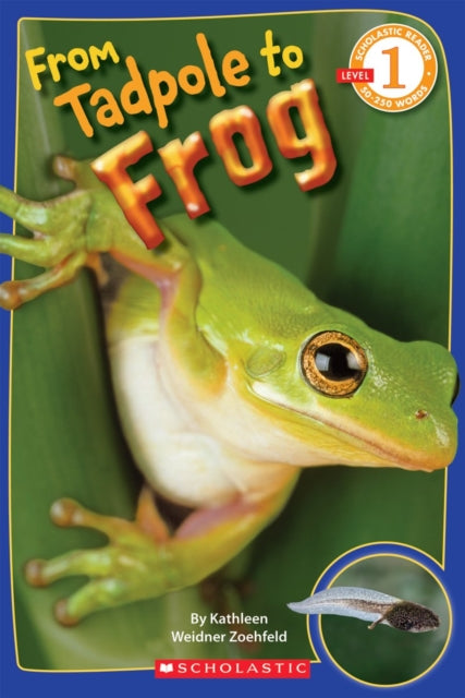 From Tadpole to Frog Scholastic Reader Level 1