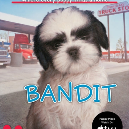 Bandit The Puppy Place