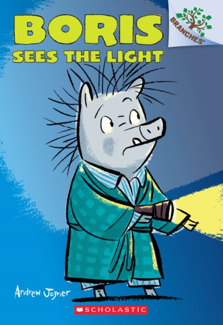 Boris Sees the Light: A Branches Book (Boris #4): Volume 4