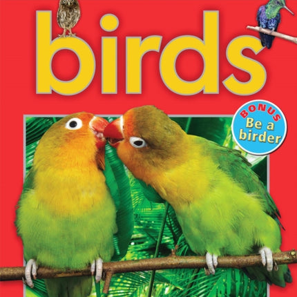 Scholastic Discover More: Birds (Emergent Reader)