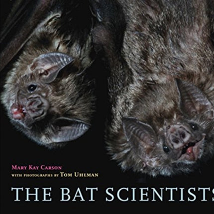 Bat Scientists