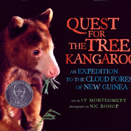 Quest for the Tree Kangaroo