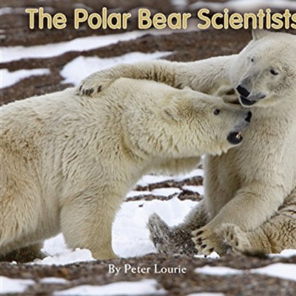 The Polar Bear Scientists