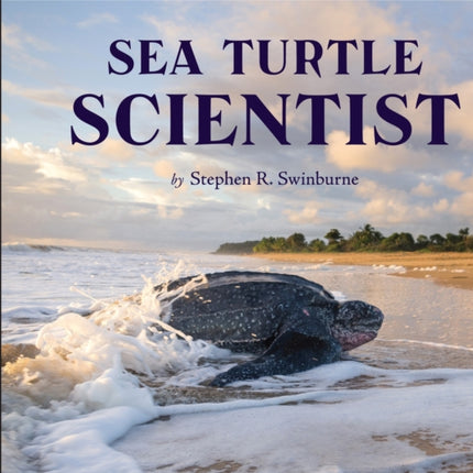 Sea Turtle Scientist