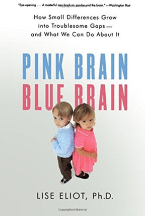 Pink Brain, Blue Brain: How Small Differences Grow Into Troublesome Gaps -- And What We Can Do about It