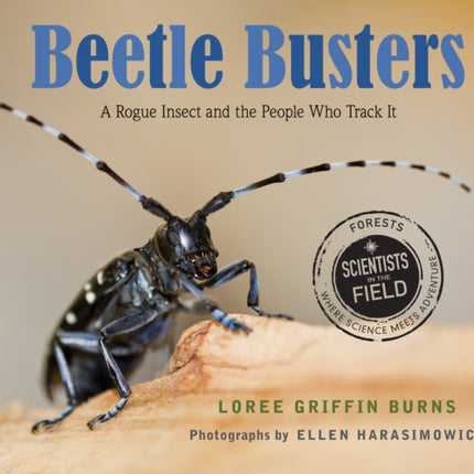 Beetle Busters