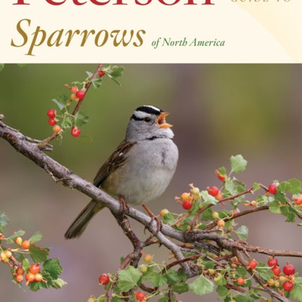 Peterson Reference Guide to Sparrows of North America