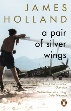 Holland J Pair of Silver Wings