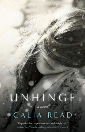Unhinge A Novel 2 Fairfax