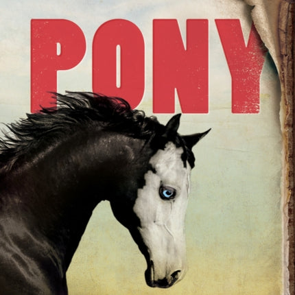 Pony